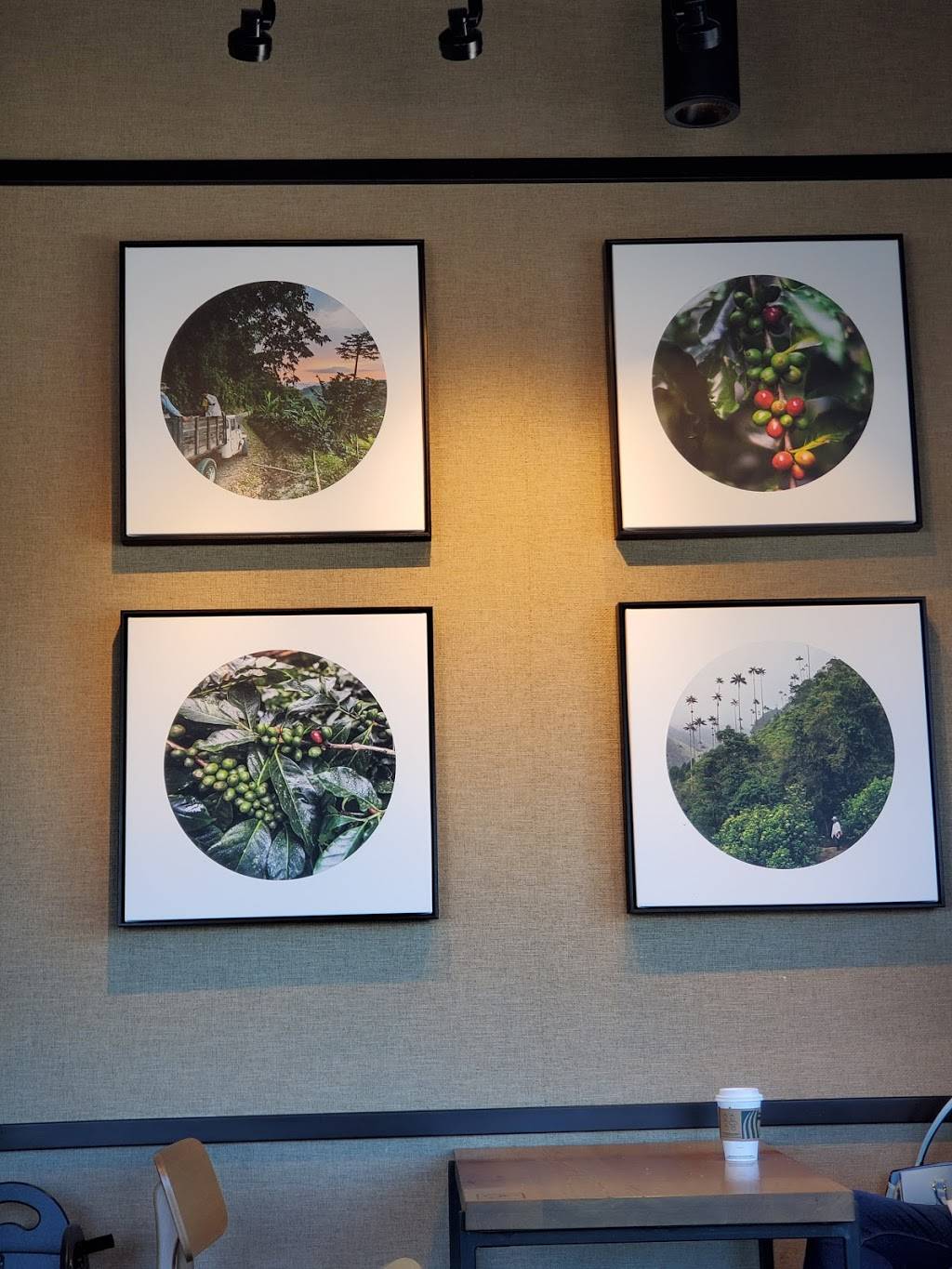 Starbucks | cafe | 1098 E Clark Ave, Orcutt, CA 93455, USA | 8059341876 OR +1 805-934-1876