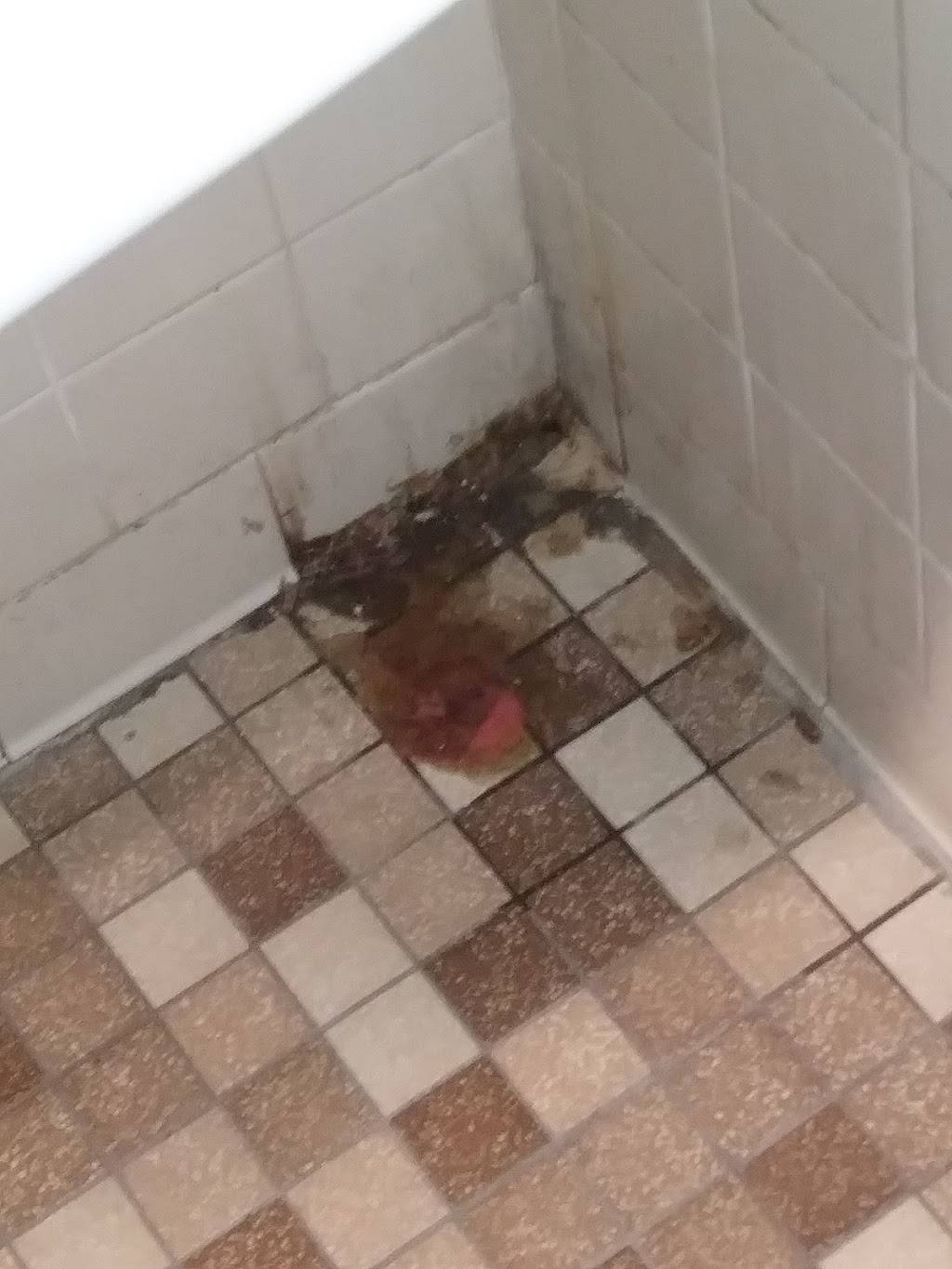 New Hong Kong Restaurant | restaurant | 4500 Altama Ave, Brunswick, GA 31520, USA | 9122649333 OR +1 912-264-9333