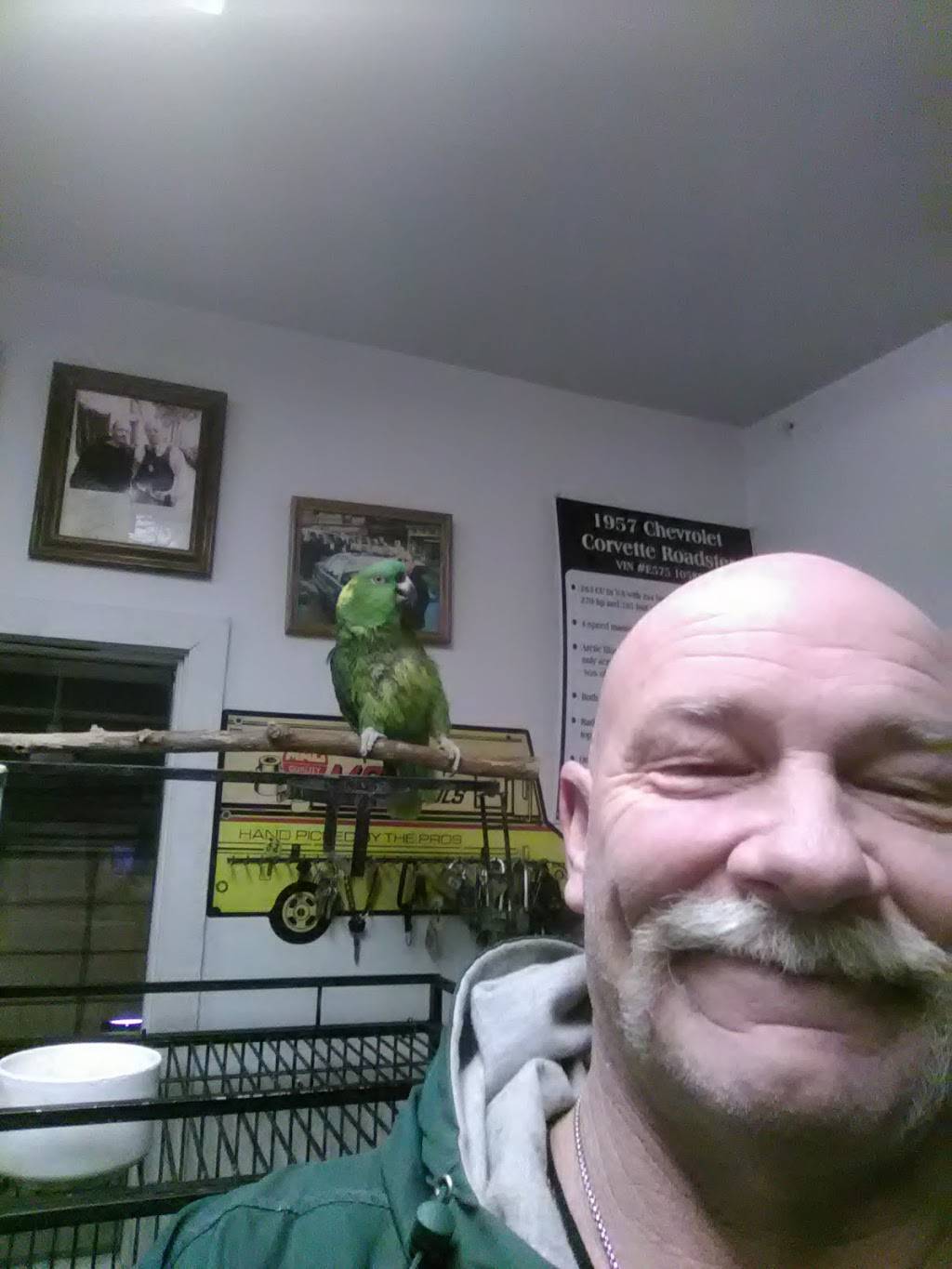 Iowa City Moose Lodge and Family Center | restaurant | SE, 3151 US-6, Iowa City, IA 52240, USA | 3193566921 OR +1 319-356-6921