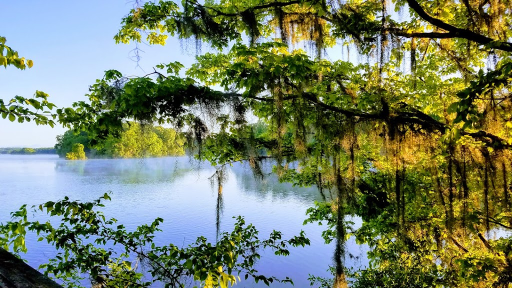 Friendly Gs | restaurant | 317 S Palmer Ave, Georgiana, AL 36033, USA | 3343765601 OR +1 334-376-5601