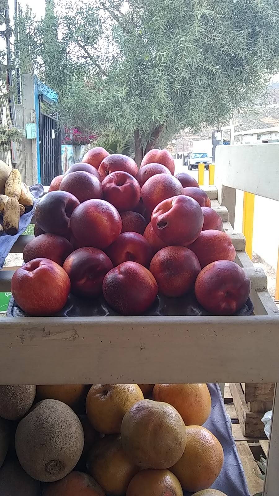 Taqueria "LOS KUATES" | restaurant | Marcelo Raygoza 7, Granjas División del Nte., 22473 Tijuana, B.C., Mexico | 0446645228338 OR +52 1 664 522 8338