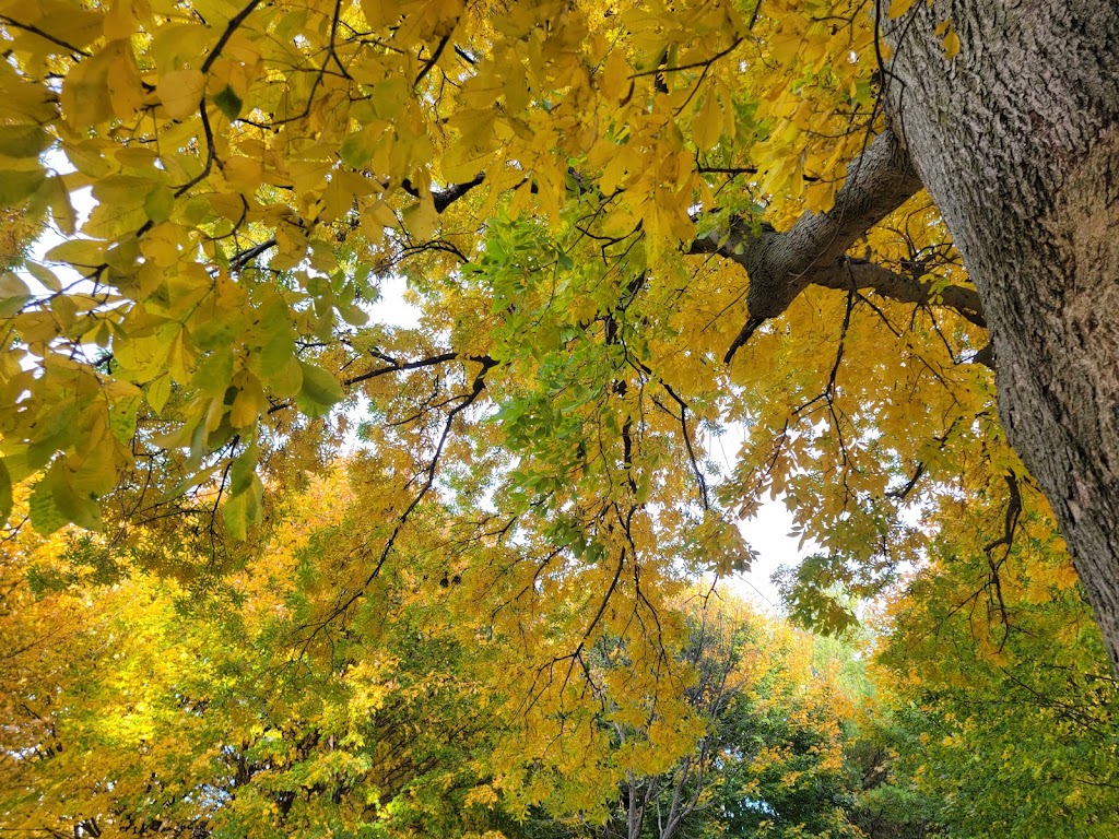 Willow Ridge Golf Club | restaurant | 3311 N River Rd, Fort Gratiot Twp, MI 48059, USA | 8109827010 OR +1 810-982-7010