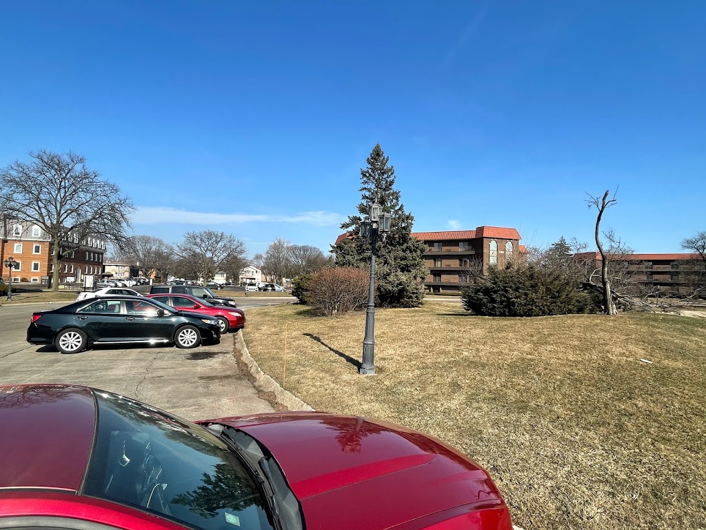 Korean café | restaurant | 1460 Renaissance Dr, Park Ridge, IL 60068, USA | 8473768372 OR +1 847-376-8372