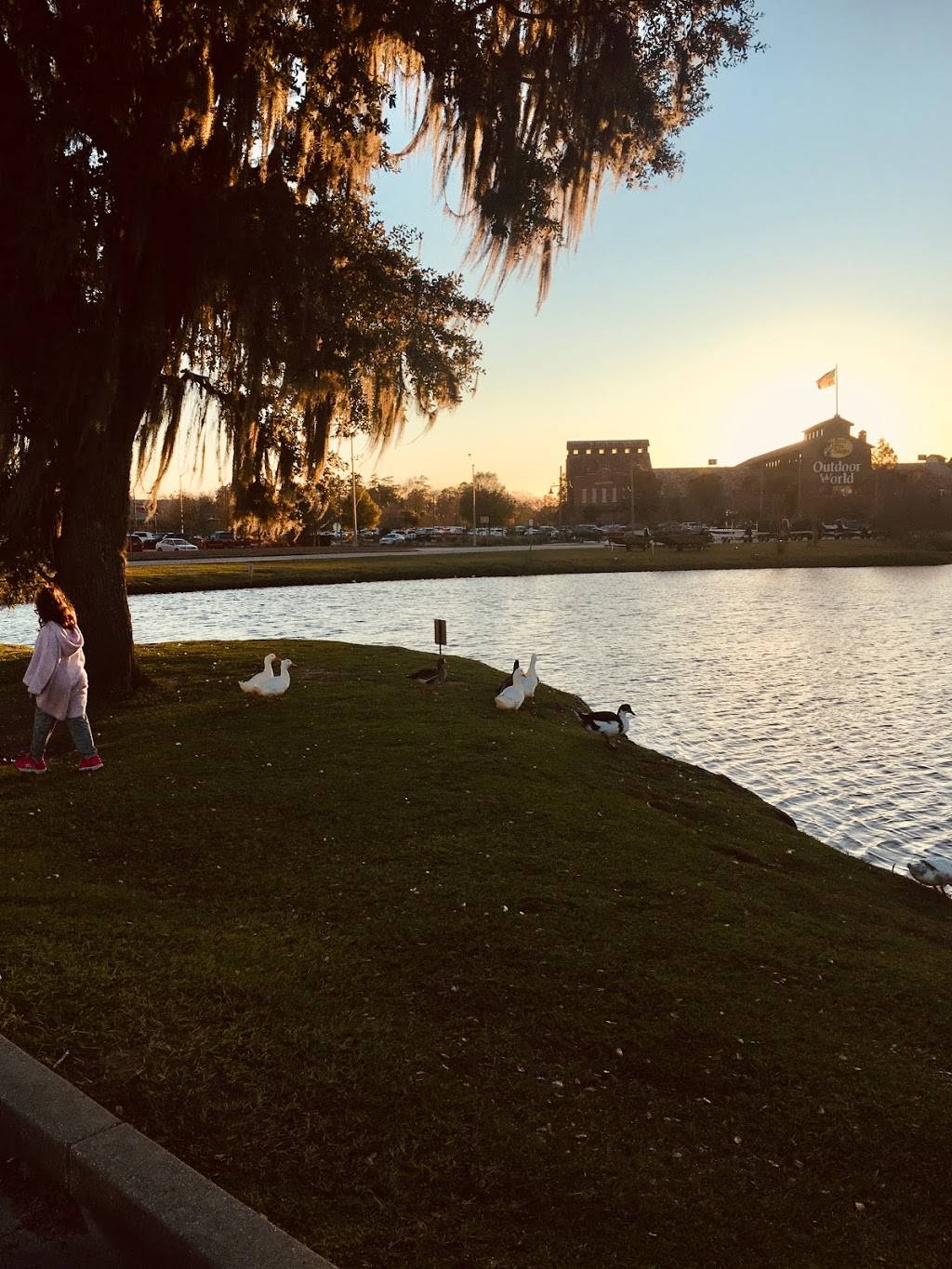 LongHorn Steakhouse | meal takeaway | 249 Range 12 Blvd, Denham Springs, LA 70726, USA | 2256645736 OR +1 225-664-5736