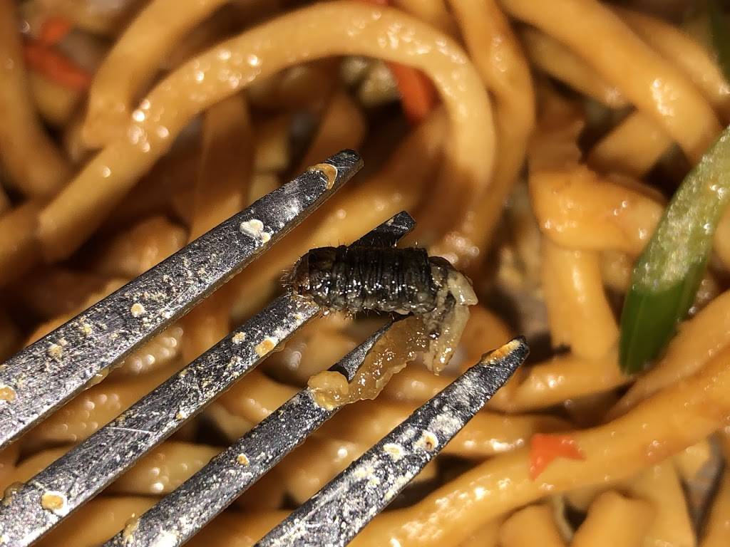 New China | restaurant | 3118 E Henrietta Rd #9701, Henrietta, NY 14467, USA | 5853349097 OR +1 585-334-9097