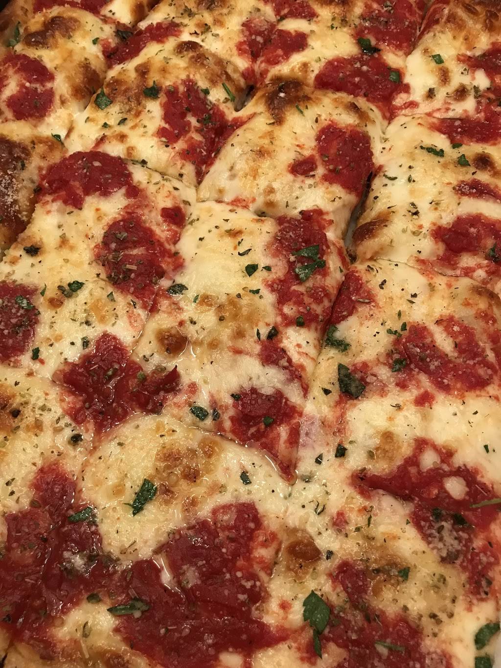 Napoli Pizza & Restaurant | restaurant | 116 Northern Blvd, Great Neck, NY 11021, USA | 5164878435 OR +1 516-487-8435