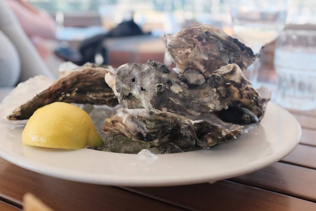 Endless Summer Bar Cafe | restaurant | 113 Harbor Way Suite 180, Santa Barbara, CA 93109, USA | 8055644666 OR +1 805-564-4666