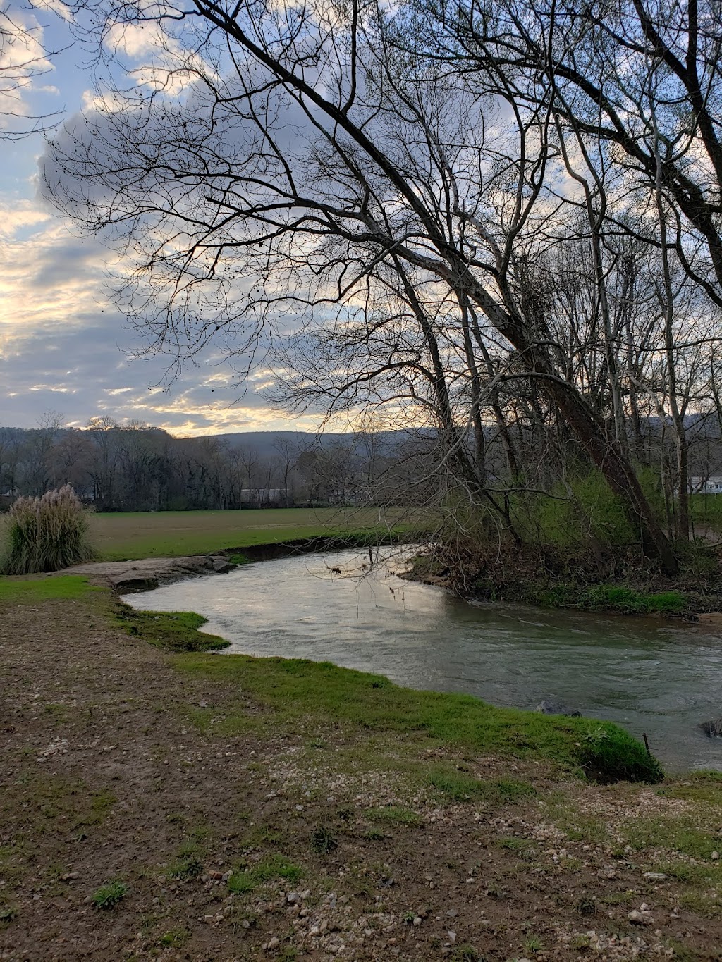 Cart & Seoul | restaurant | 67 Sanford Ln, Flintstone, GA 30725, USA | 4233131582 OR +1 423-313-1582