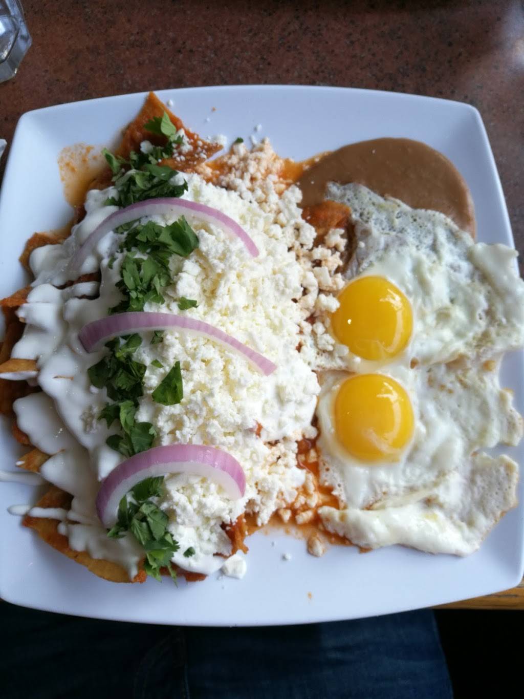 Frida Room | restaurant | 1454 W 18th St, Chicago, IL 60608, USA | 3126313620 OR +1 312-631-3620