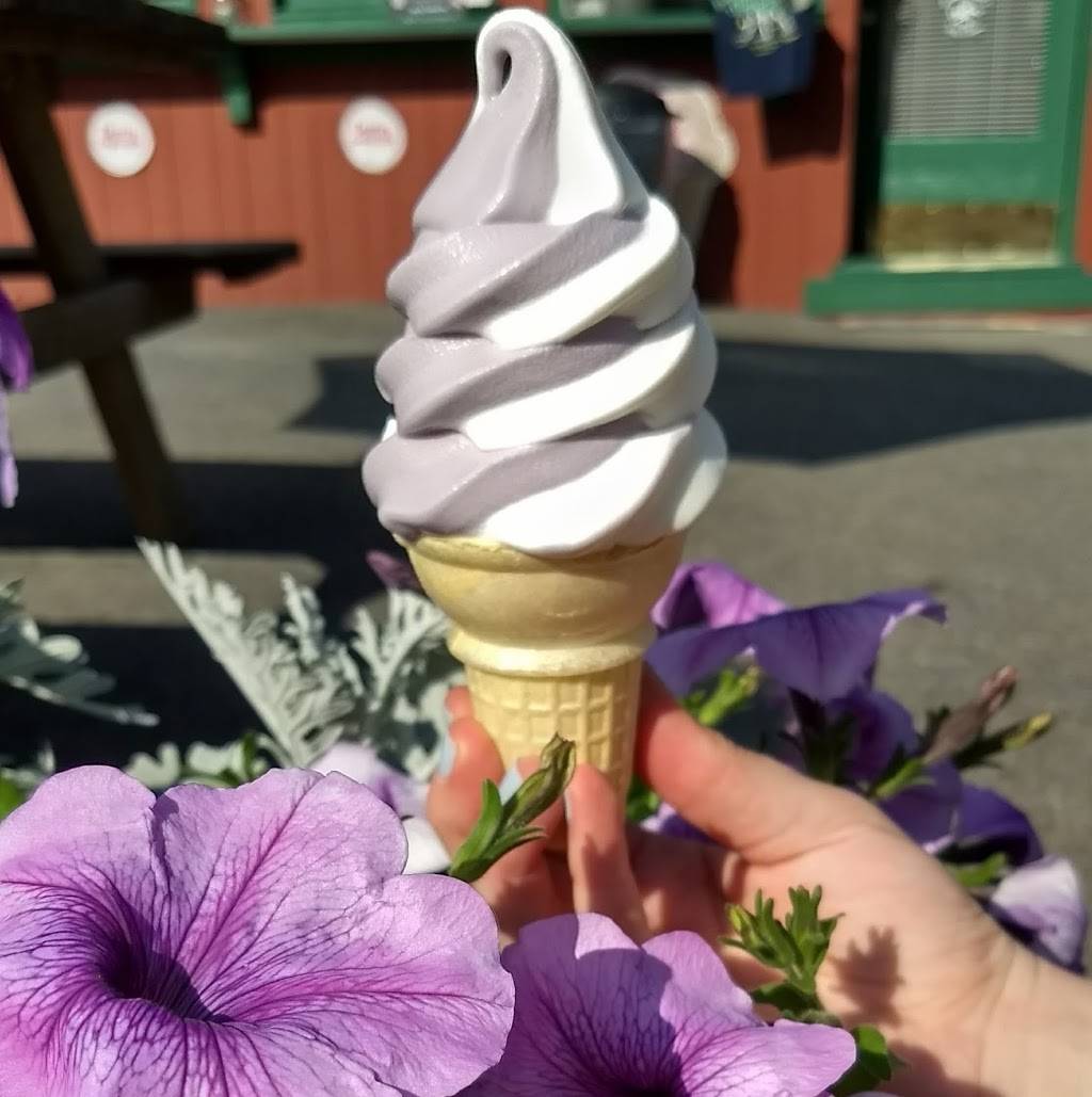 Trimmers Ice Cream | meal takeaway | 9833 NY-96, Trumansburg, NY 14886, USA | 6073873993 OR +1 607-387-3993