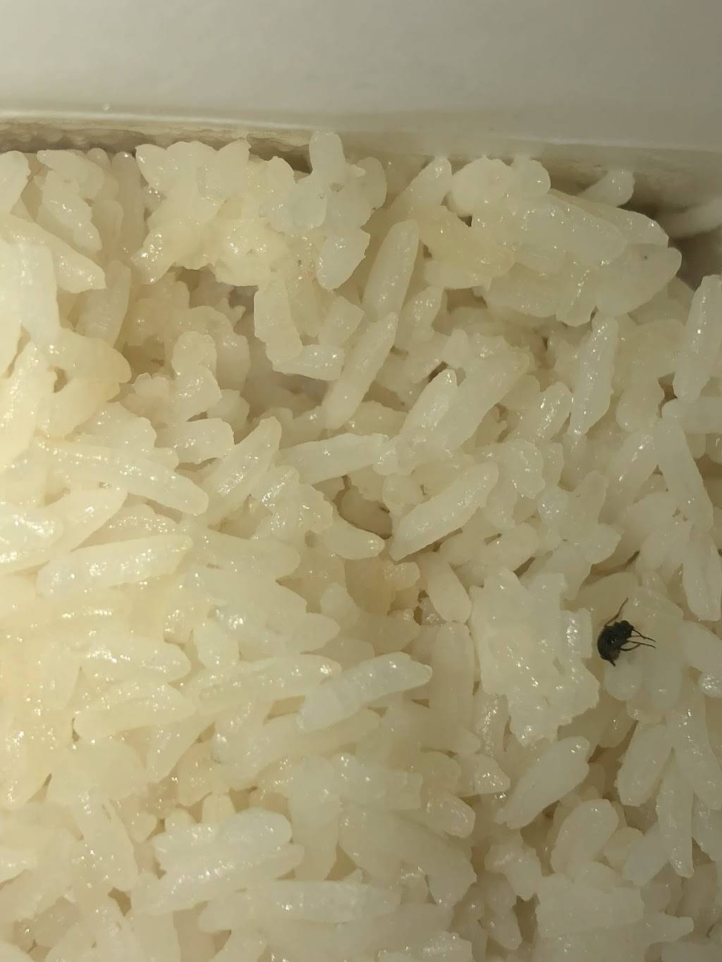 Happy Valley Restaurant | restaurant | 255 Broadway, Newark, NJ 07104, USA | 9734828088 OR +1 973-482-8088