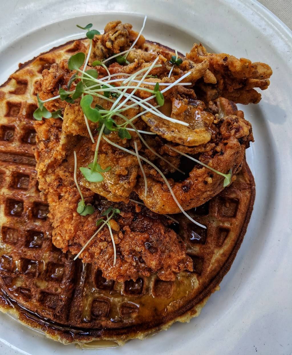 Fern, Flavors from the Garden | restaurant | 1419 East Blvd a, Charlotte, NC 28203, USA | 7043771825 OR +1 704-377-1825