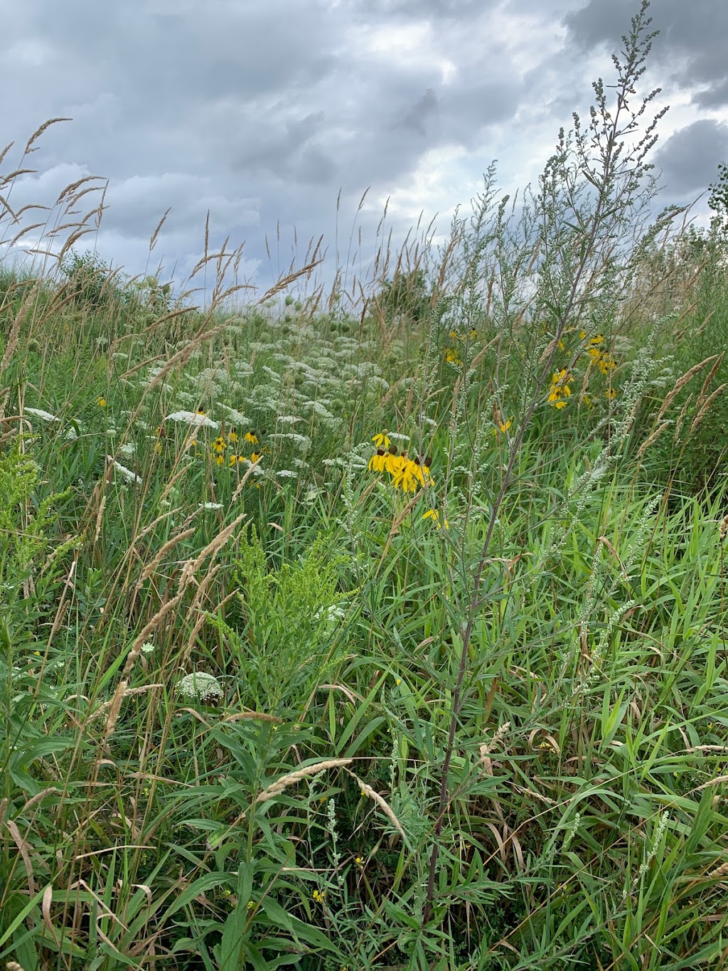 Hoyt Park | restaurant | 1800 N Swan Blvd, Wauwatosa, WI 53226, USA | 4142577275 OR +1 414-257-7275