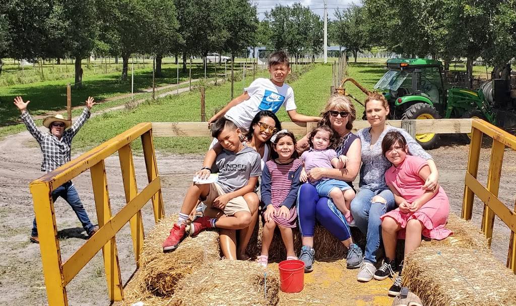 Family farms inc.U-Pick |  | 14950 SW 14th St, Davie, FL 33326, USA | 9548042850 OR +1 954-804-2850