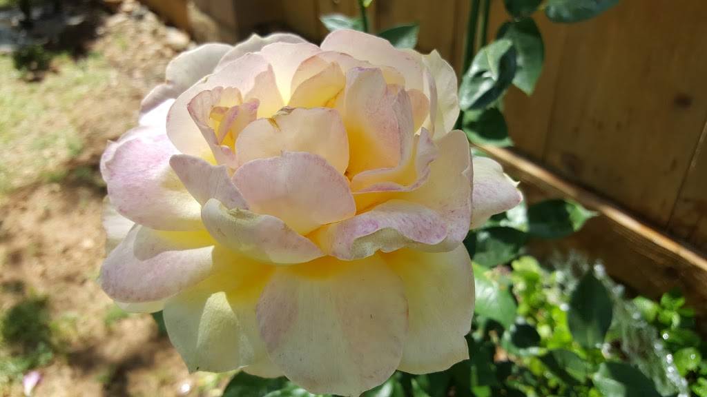 New China Restaurant | meal takeaway | 3669 Eureka Way, Redding, CA 96001, USA | 5302469522 OR +1 530-246-9522