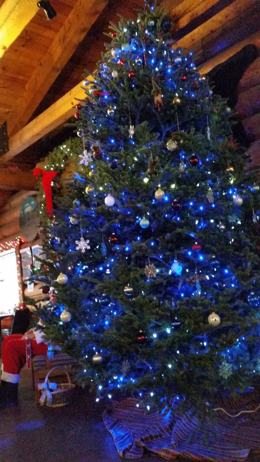 Black Bear Inn | restaurant | 320 W Cottage Grove Rd, Cottage Grove, WI 53527, USA | 6088395222 OR +1 608-839-5222