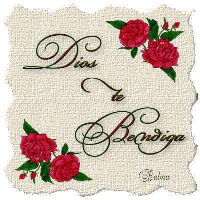 Elianas Pizzeria & Restaurant | restaurant | 164 Lake St # 2, Newburgh, NY 12550, USA | 8455639940 OR +1 845-563-9940