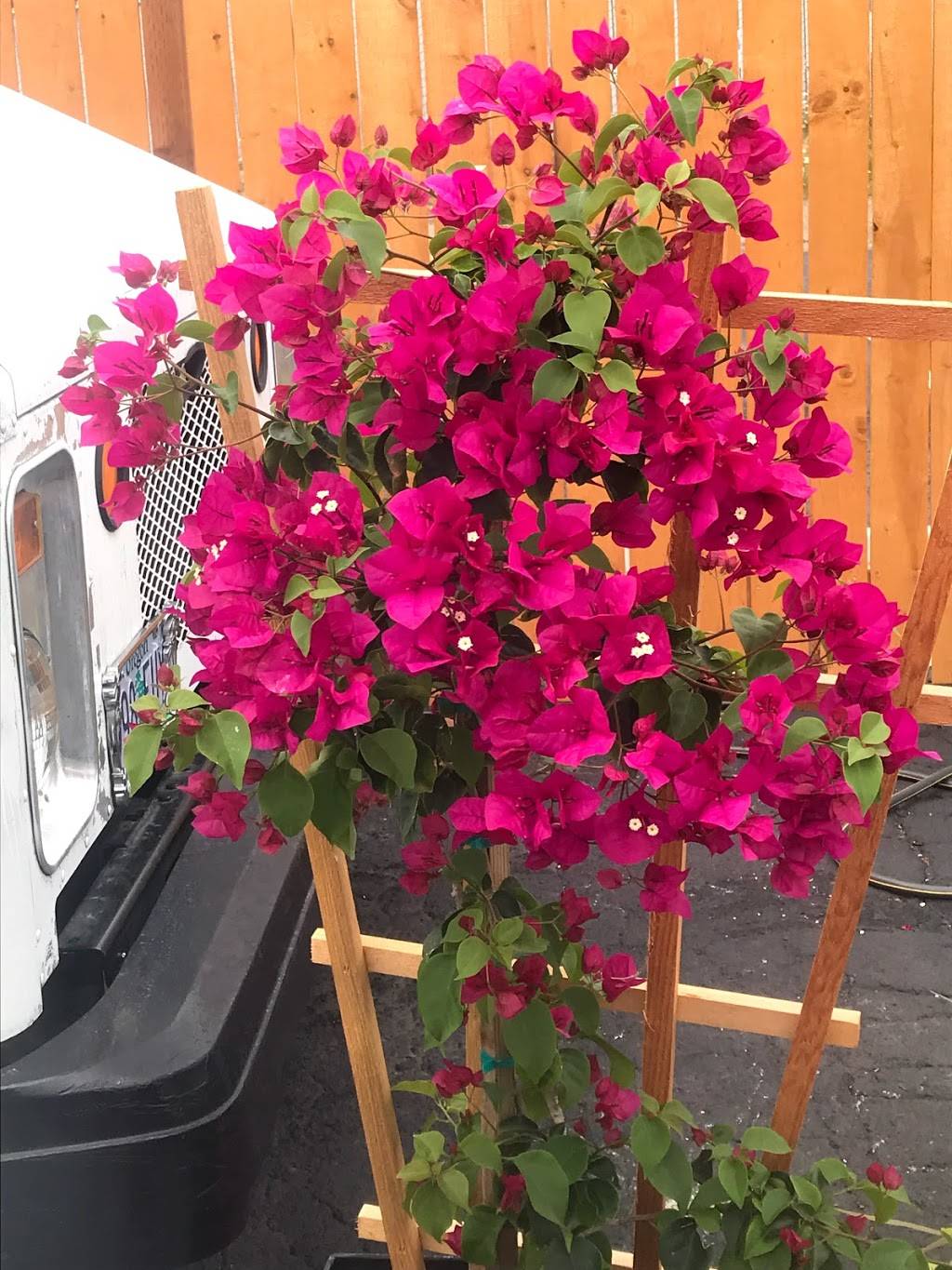 Slabtown Food Carts | restaurant | 2299 NW 23rd Ave, Portland, OR 97210, USA | 5038415923 OR +1 503-841-5923