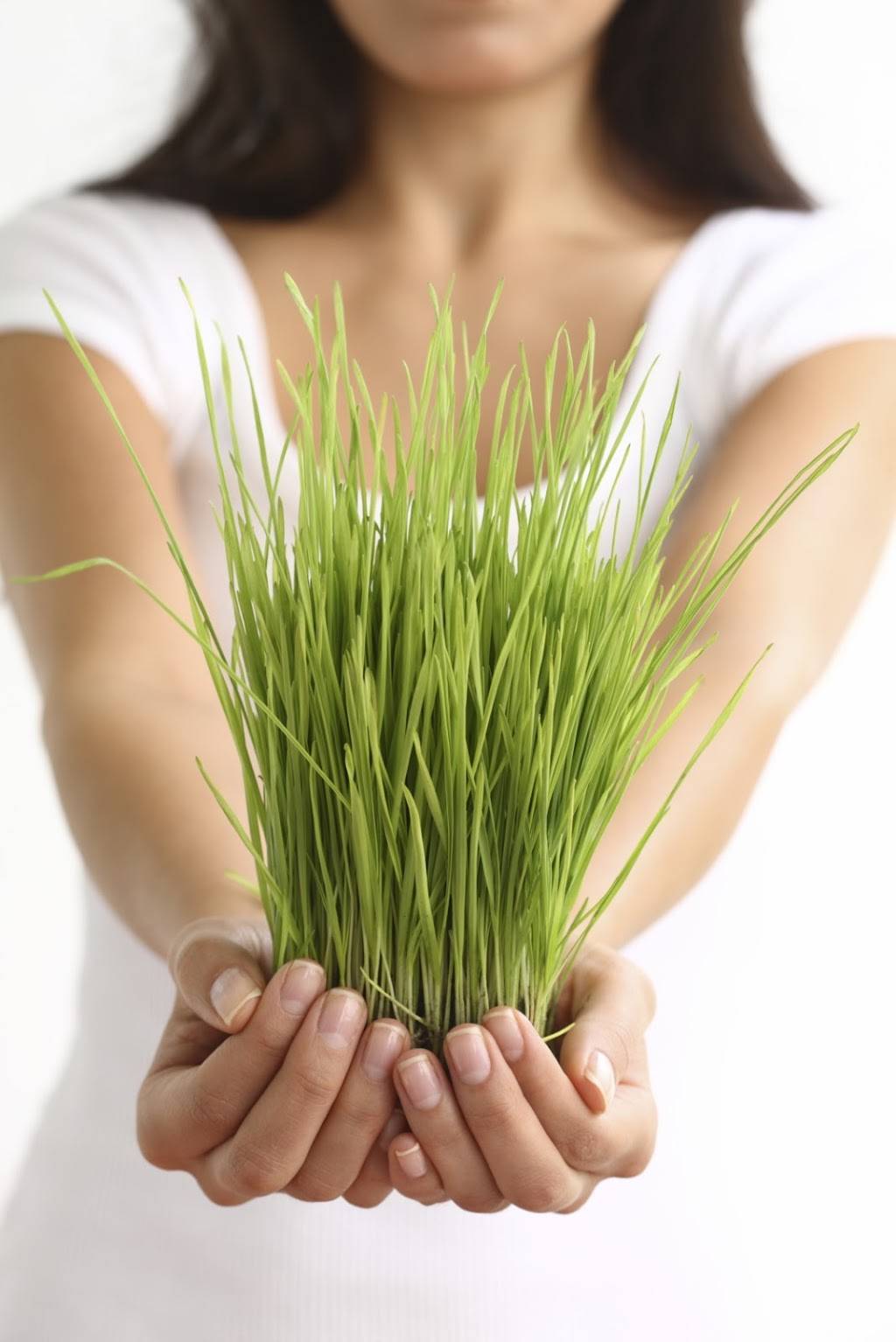 Organicaworld LLC | restaurant | 3145 Austin Merritt Rd, Groveland, FL 34736, USA | 3524354570 OR +1 352-435-4570