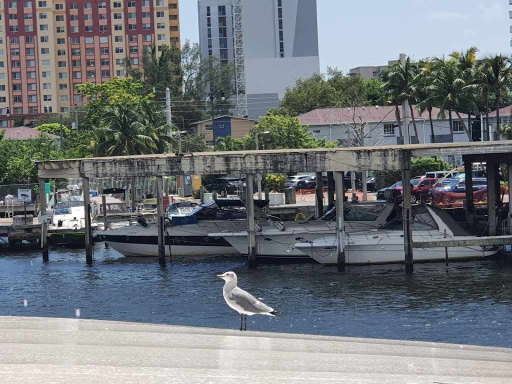 Garcias Seafood Grille & Fish Market | restaurant | 398 NW N River Dr, Miami, FL 33128, USA | 3053750765 OR +1 305-375-0765