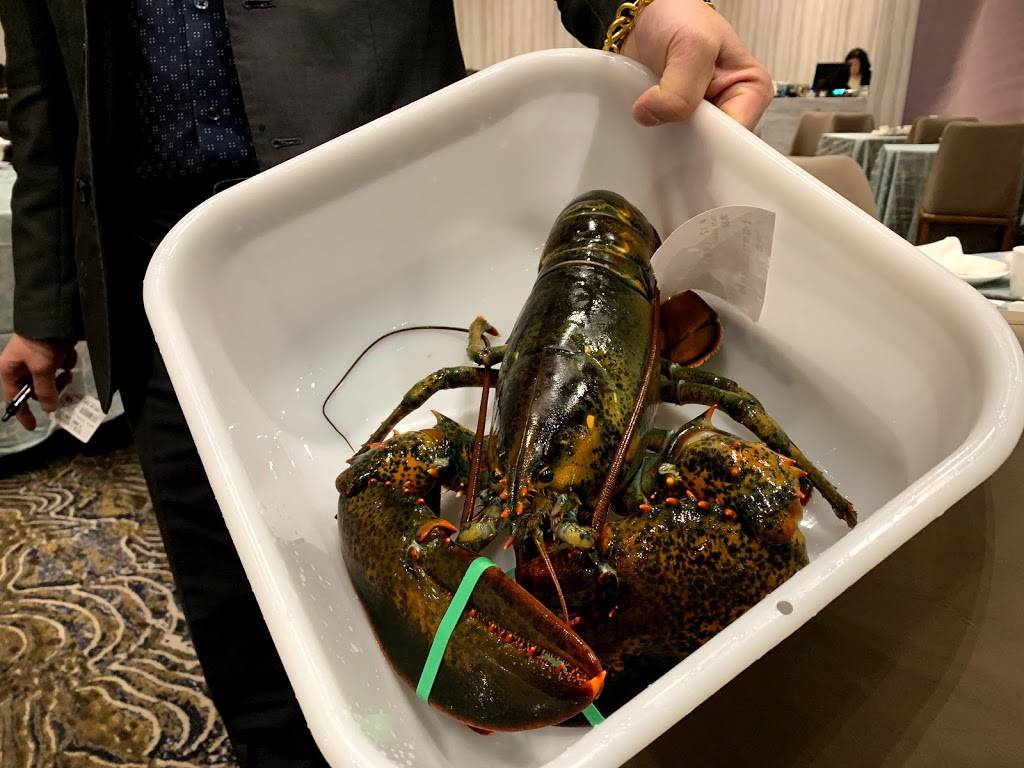 龍港壹號 Lobster Port No.1 | restaurant | 9021 Leslie St #9, Richmond Hill, ON L4B 0B2, Canada | 9055978508 OR +1 905-597-8508