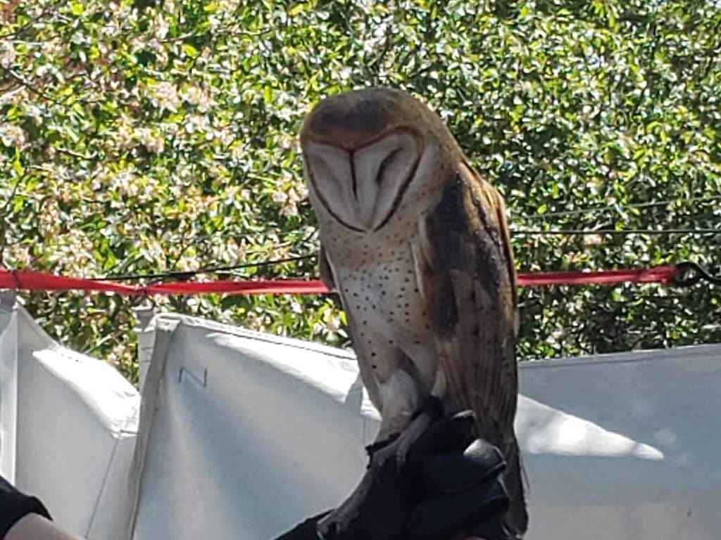 The Wobbly Olive Old CO City | restaurant | 2611 W Colorado Ave, Colorado Springs, CO 80904, USA | 7193082619 OR +1 719-308-2619