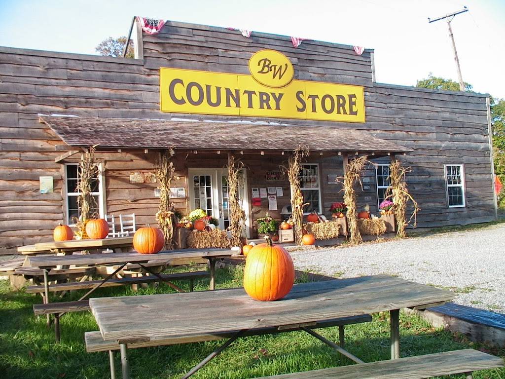 Big Walker Lookout | restaurant | 8711 Stoney Fork Rd, Wytheville, VA 24382, USA | 2766634016 OR +1 276-663-4016