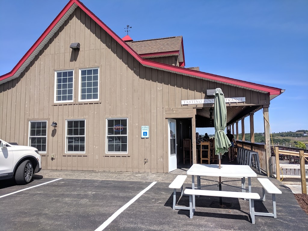 Petoskey Farms Vineyard & Winery | restaurant | 3720 Atkins Rd, Petoskey, MI 49770, USA | 2312909463 OR +1 231-290-9463