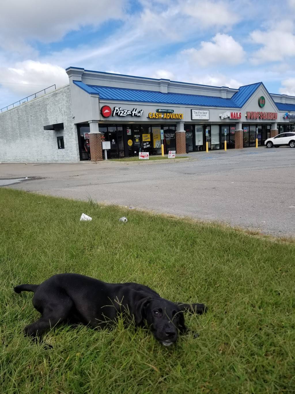 Wongs Garden | restaurant | 301 Market Dr, Emporia, VA 23847, USA | 4343360888 OR +1 434-336-0888