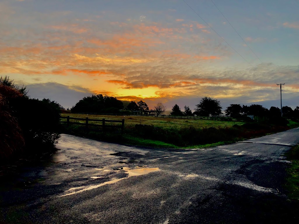 MendoVino Wine Bar | restaurant | 10481 Lansing St, Mendocino, CA 95460, USA | 7073971414 OR +1 707-397-1414