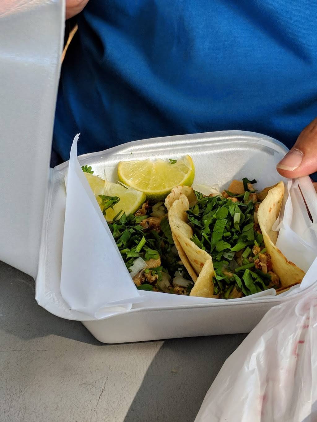 Botello Grocery | restaurant | 15791 Lake Michigan Dr, West Olive, MI 49460, USA | 6168461480 OR +1 616-846-1480