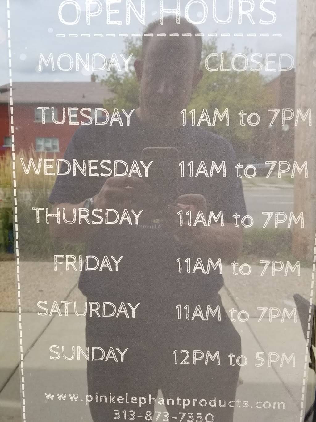 Pink Elephant Products and Events L3C | cafe | 9413 John R St, Detroit, MI 48202, USA | 3133161173 OR +1 313-316-1173