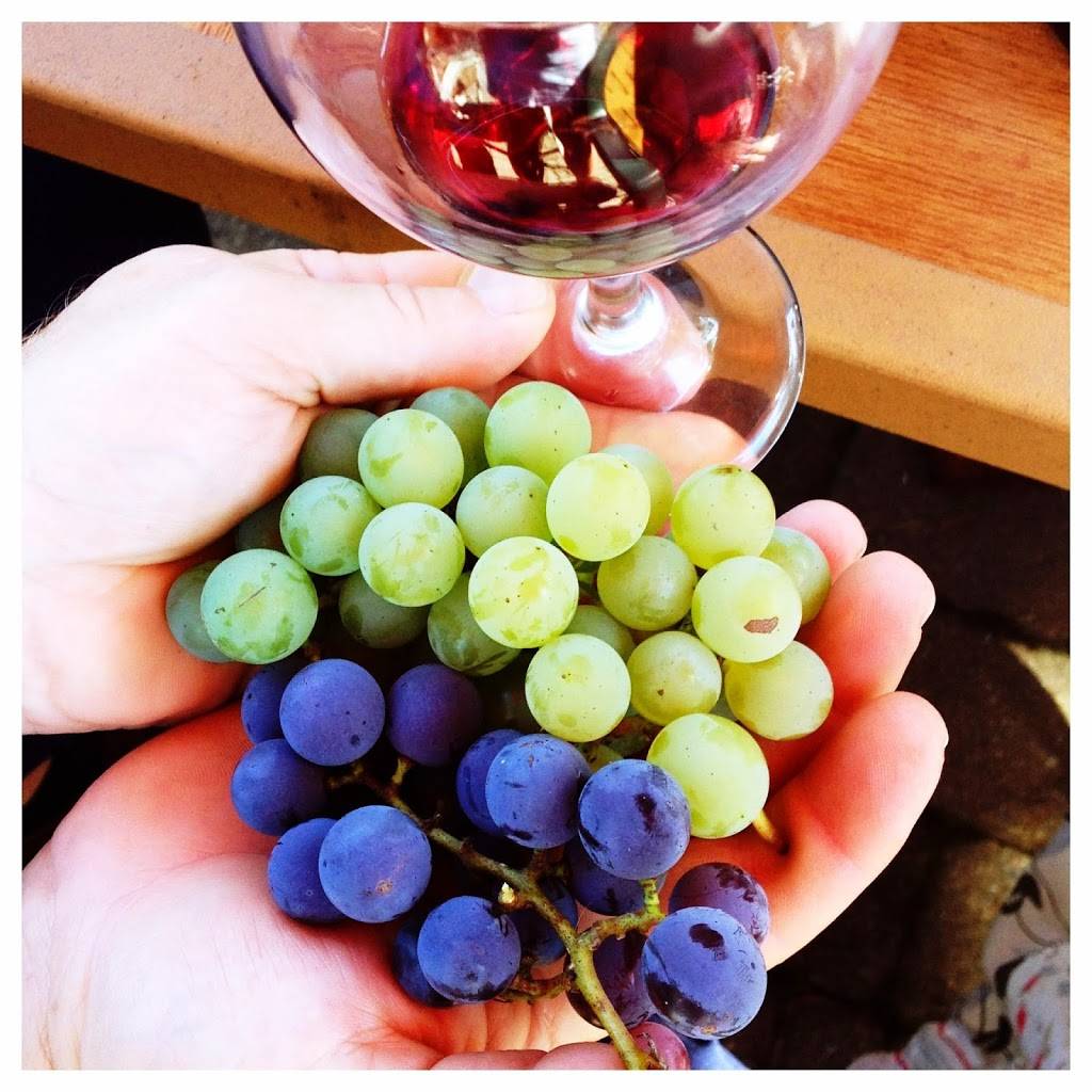 Timbers Inn Restaurant & Tavern | meal takeaway | 6555 Belding Rd NE, Rockford, MI 49341, USA | 6168745553 OR +1 616-874-5553