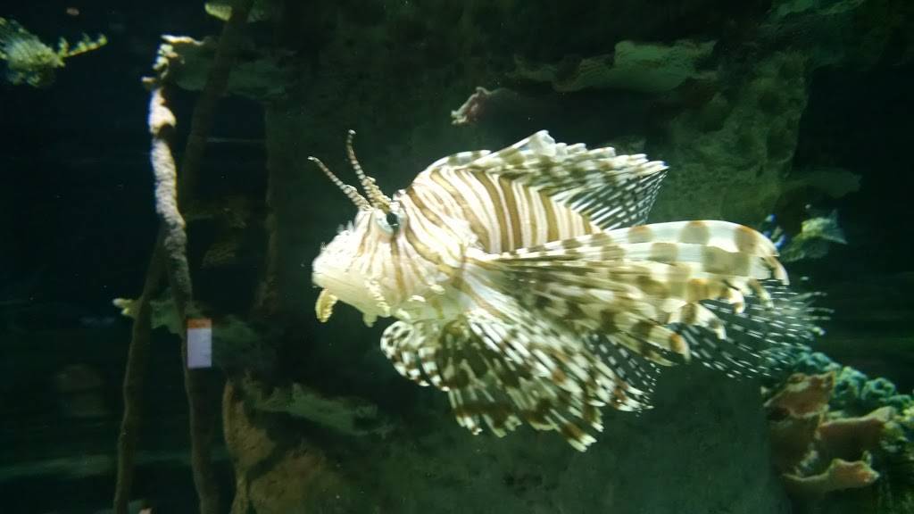 Butterfly Cafe | restaurant | 9500 East Vía de Ventura, Scottsdale, AZ 85256, USA | 4808003000 OR +1 480-800-3000