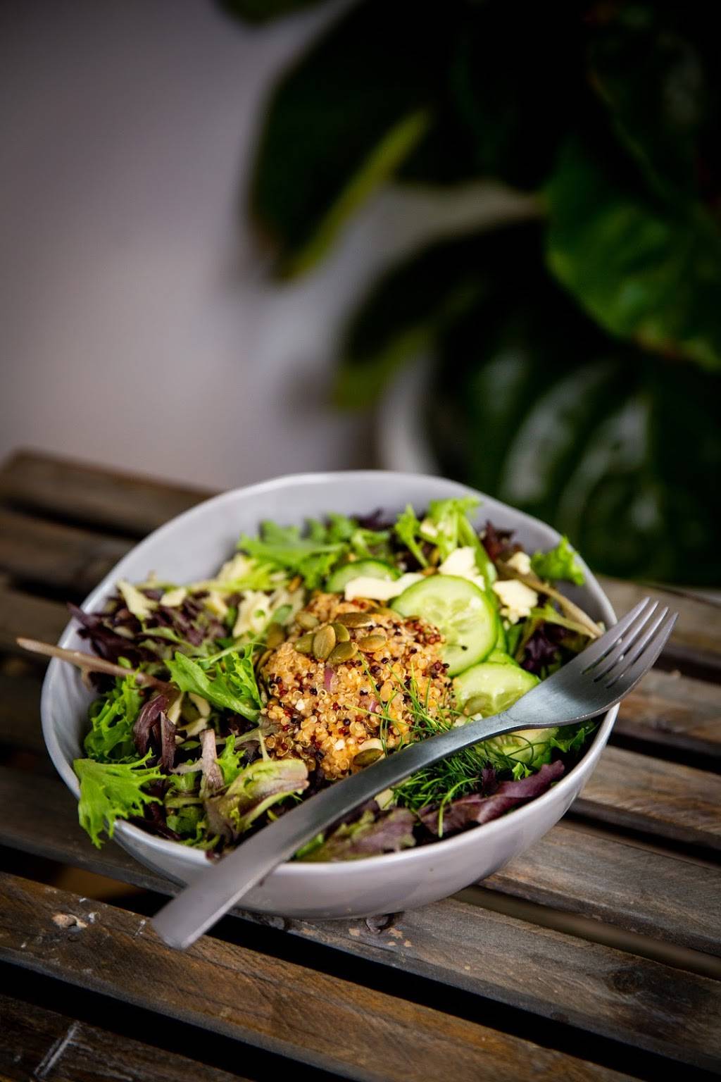 Lost City | cafe | 3459 Ringsby Ct, Denver, CO 80216, USA | 7205513635 OR +1 720-551-3635