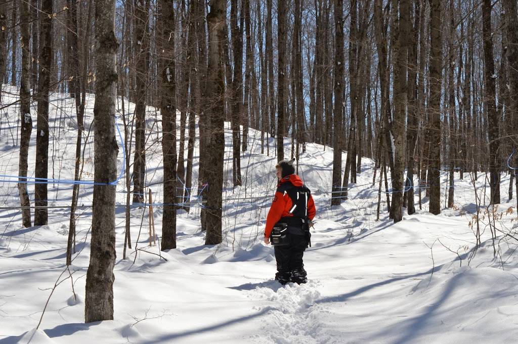 Érablière la coulée Suisse | restaurant | 145 Chemin de Saint-Armand, Frelighsburg, QC J0J 1C0, Canada | 5147173845 OR +1 514-717-3845