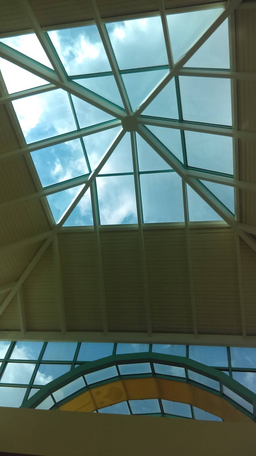 Taco Bell | restaurant | 451 E Altamonte Dr, Altamonte Springs, FL 32701, USA | 4078315772 OR +1 407-831-5772