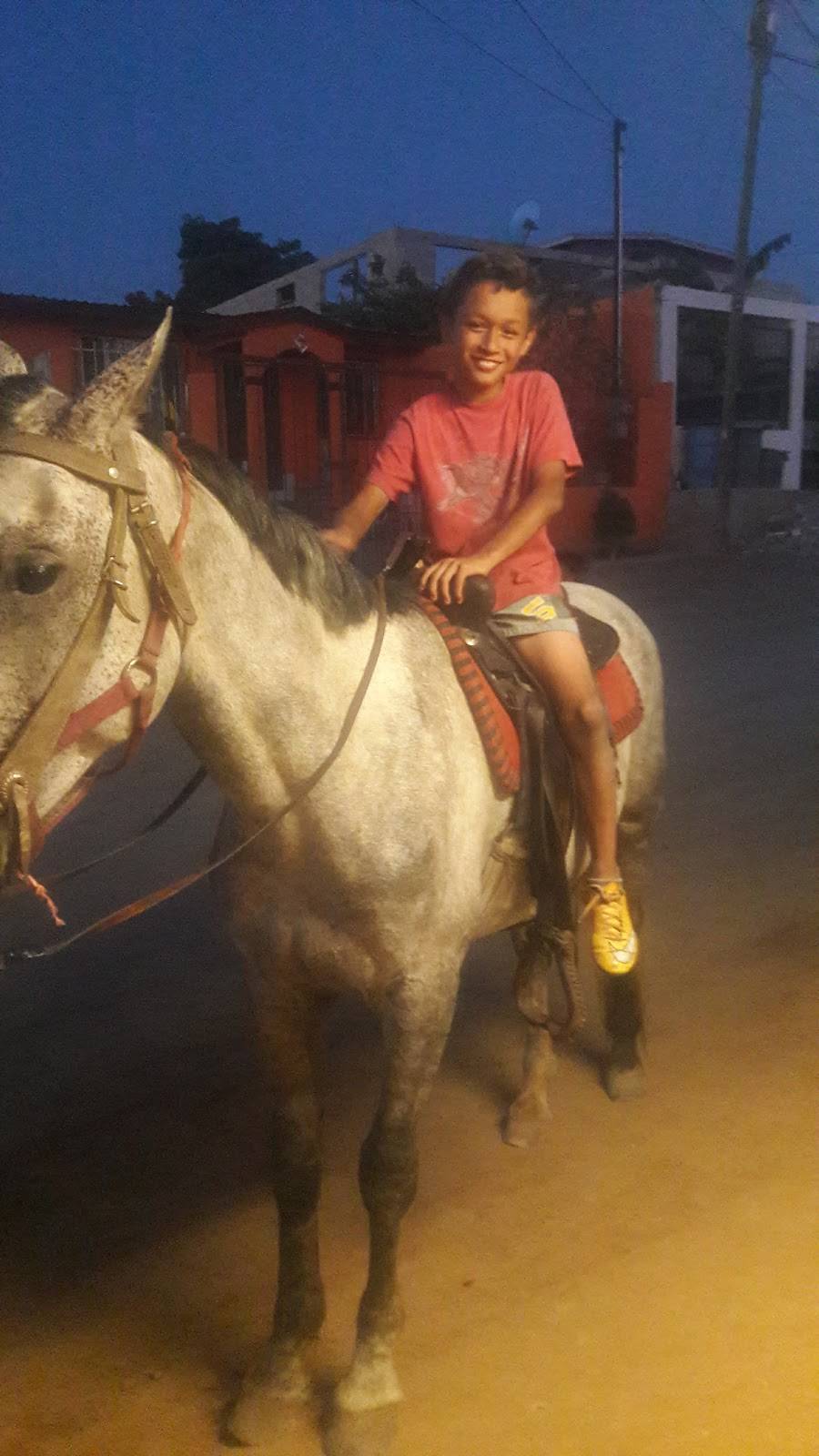 Restaurante Espiga De Oro | restaurant | Popular 1989, 22810 Ensenada, B.C., Mexico | 016462049518 OR +52 646 204 9518