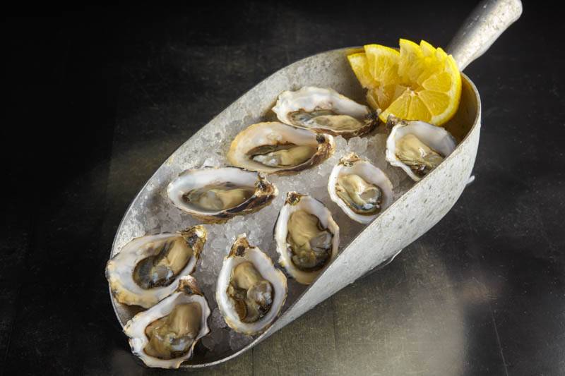 Backyard Bayou | restaurant | 32280 Dyer St, Union City, CA 94587, USA | 5106750095 OR +1 510-675-0095