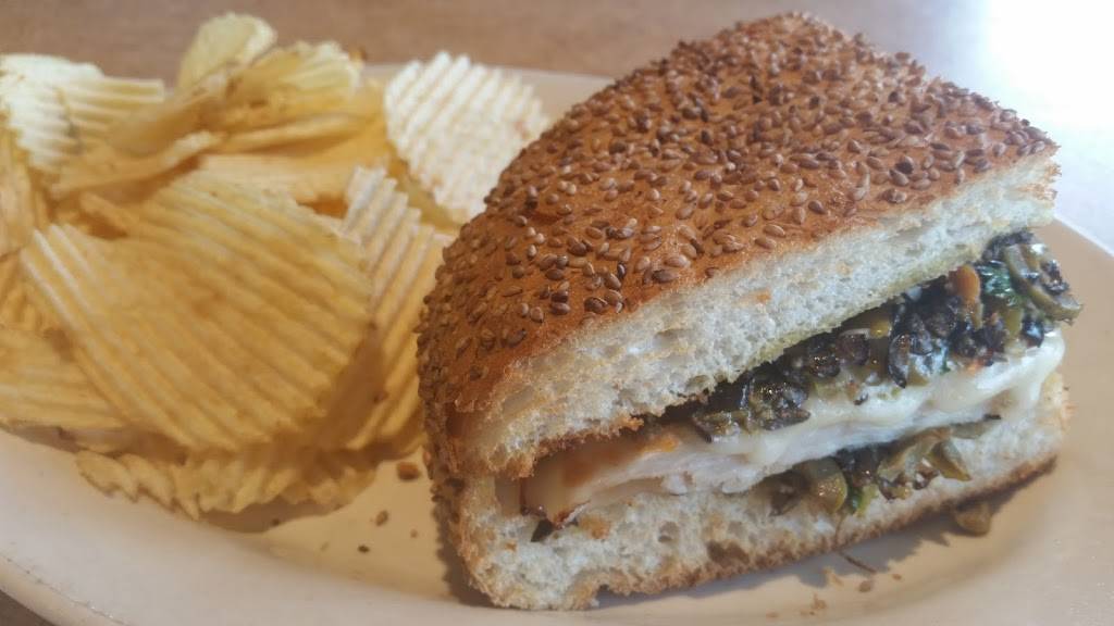 Jasons Deli | restaurant | 25801 US Hwy 19 N #1110, Clearwater, FL 33763, USA | 7277930446 OR +1 727-793-0446