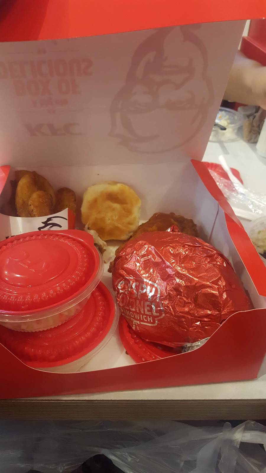 KFC | restaurant | 1191 U.S. 31 N, Petoskey, MI 49770, USA | 2313485965 OR +1 231-348-5965