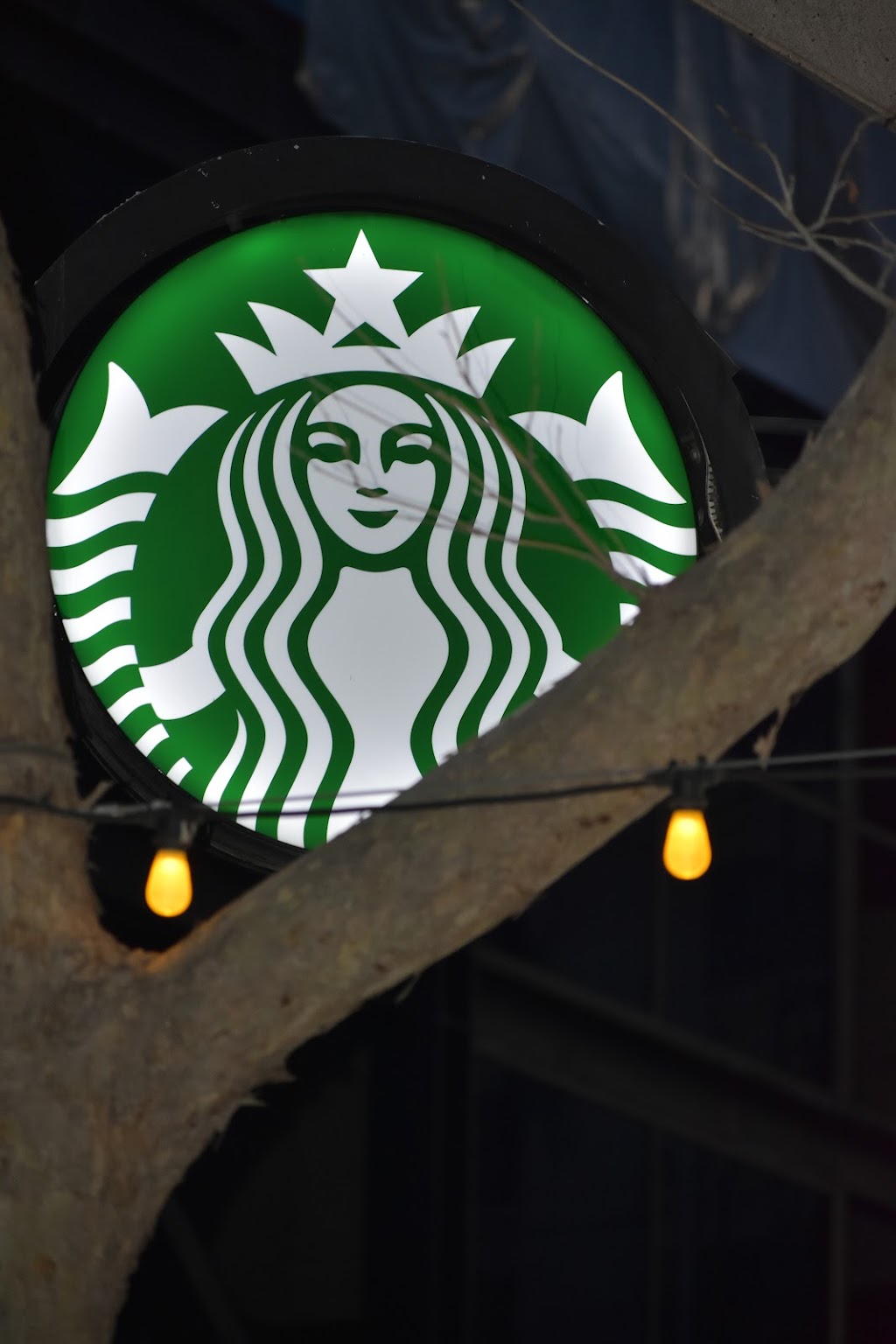 Starbucks | cafe | 150 S 1st St, San Jose, CA 95113, USA | 4082939945 OR +1 408-293-9945