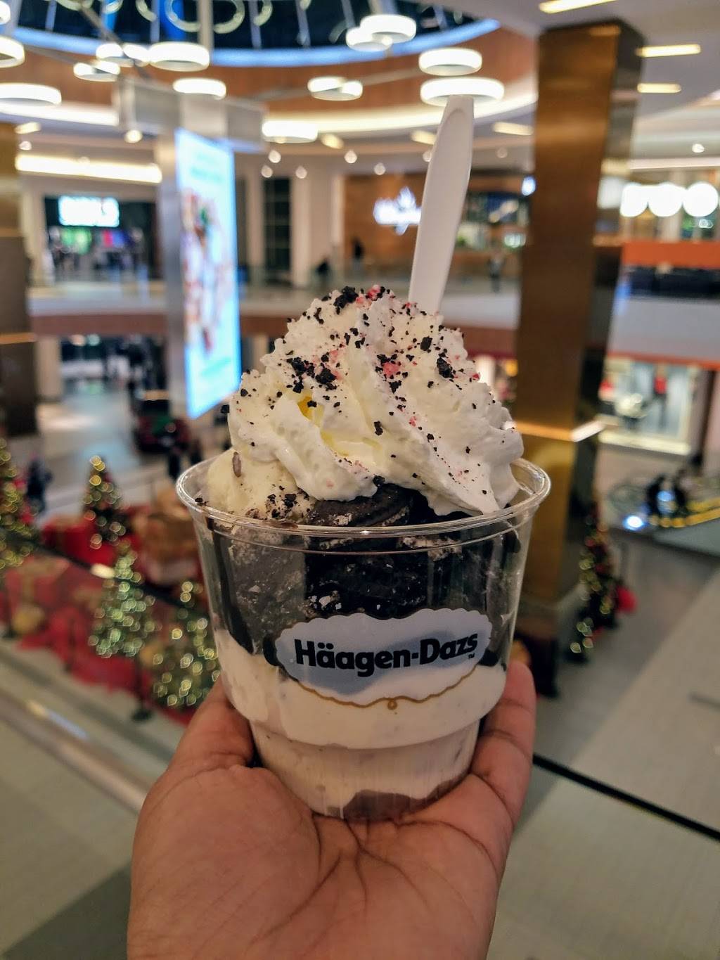 Häagen-Dazs | restaurant | 630 Old Country Rd, Garden City, NY 11530, USA | 5167423639 OR +1 516-742-3639