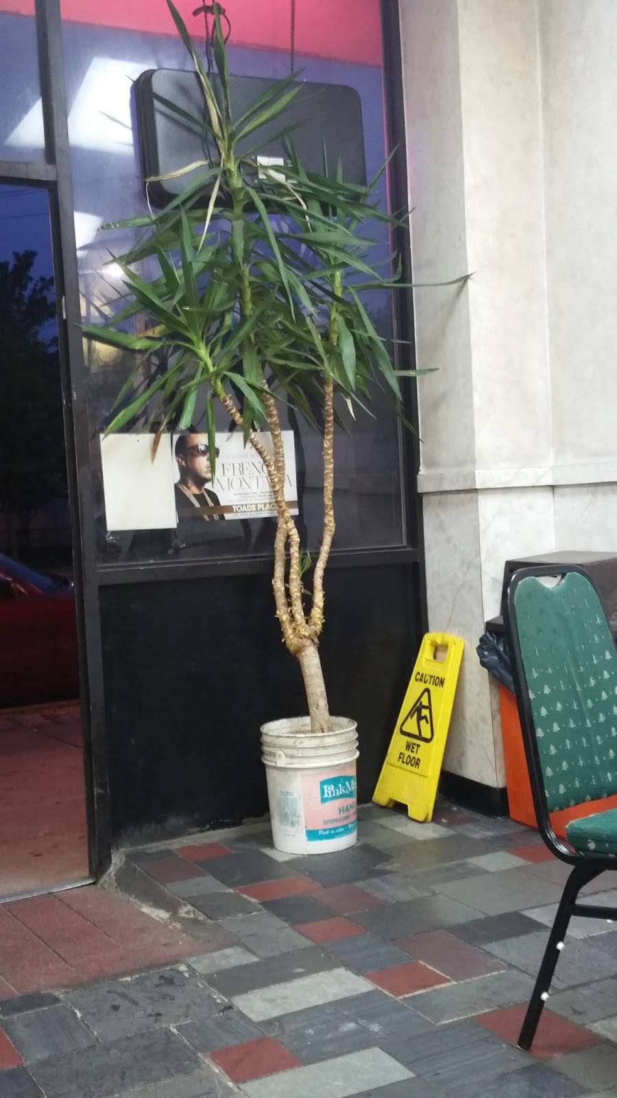 Fortune Cookie | restaurant | 306 Wood Ave, Bridgeport, CT 06605, USA | 2033369000 OR +1 203-336-9000