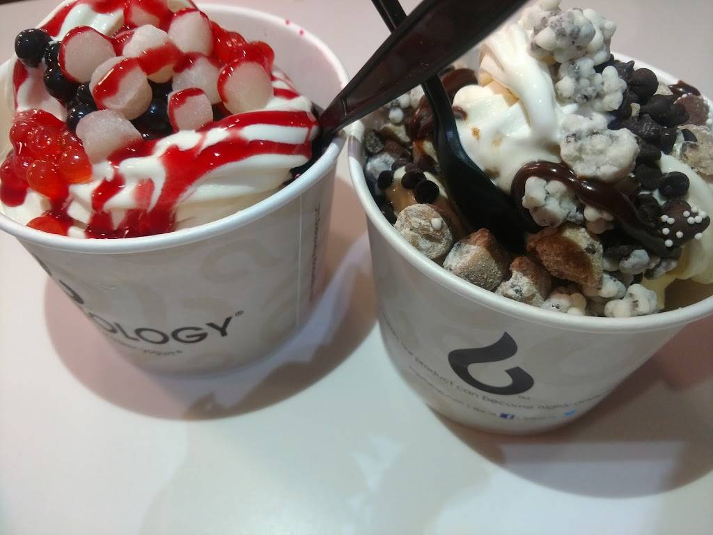 Yogurtology | restaurant | 5017, 1202 S Church Ave suite c, Tampa, FL 33629, USA | 8132512717 OR +1 813-251-2717