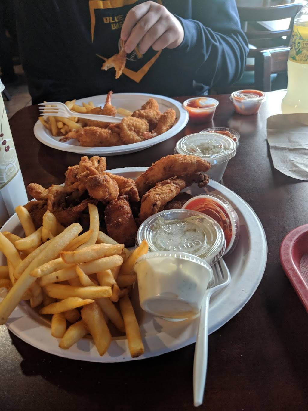 Teds Fish Fry | restaurant | 203 Wolf Rd, Albany, NY 12205, USA | 5184549490 OR +1 518-454-9490