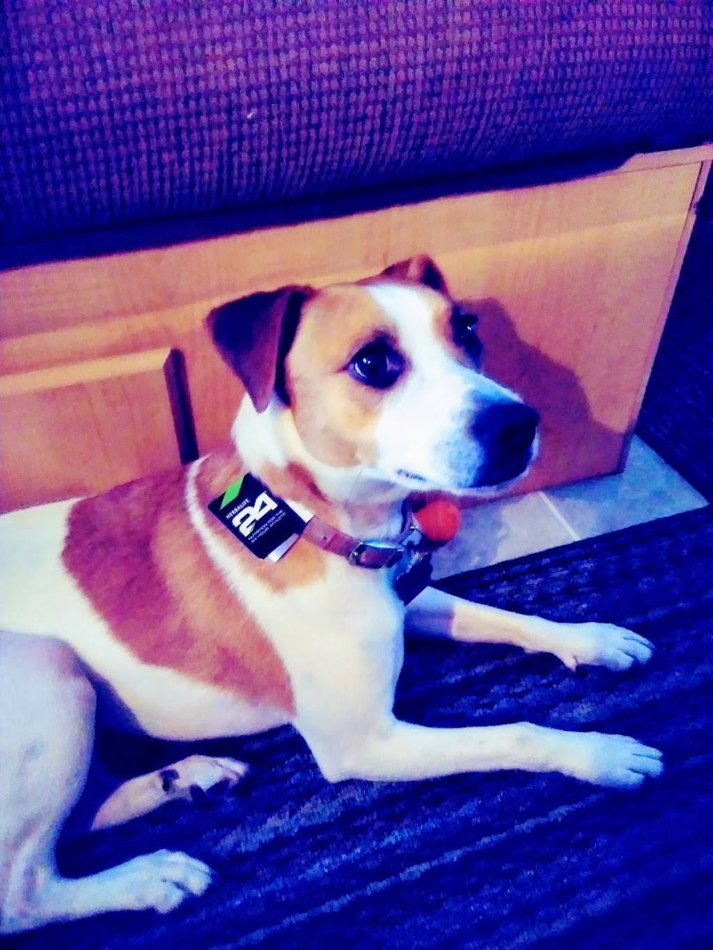 Independent Herbalife Distributor | restaurant | Eaton Rapids, MI, USA | 5179754550 OR +1 517-975-4550