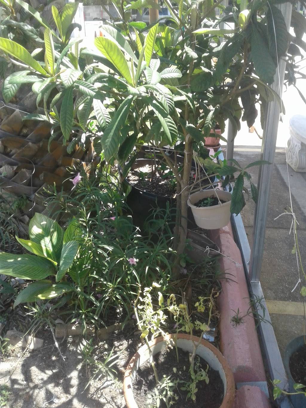 Sinbads Fast Food | restaurant | 1552 N Courtenay Pkwy, Merritt Island, FL 32953, USA | 3214599815 OR +1 321-459-9815