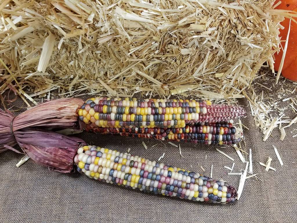 Dunkin | bakery | 333 Lynnway, Lynn, MA 01901, USA | 7815999435 OR +1 781-599-9435