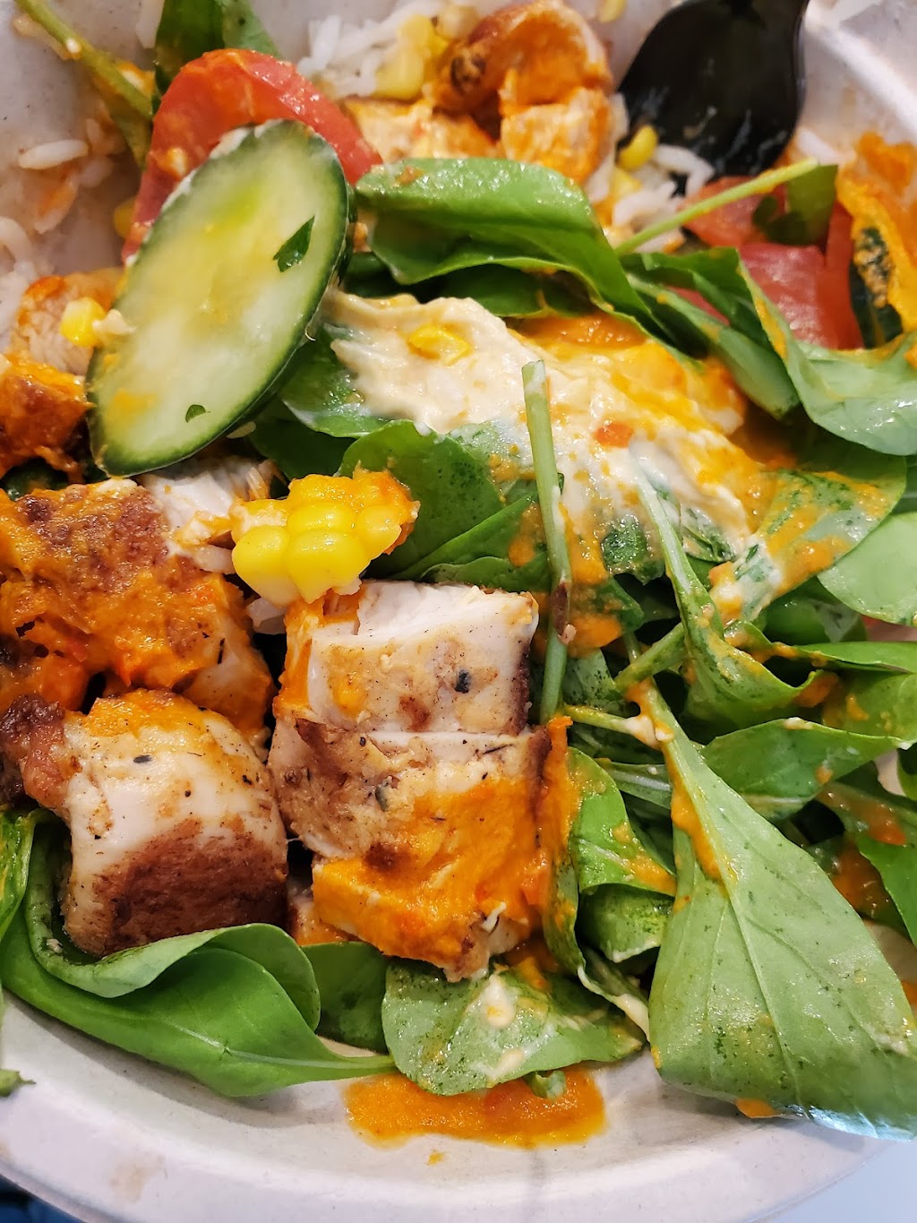 Toma Mojo Grill | restaurant | 1700 E 66th St, Richfield, MN 55423, USA | 6128863446 OR +1 612-886-3446